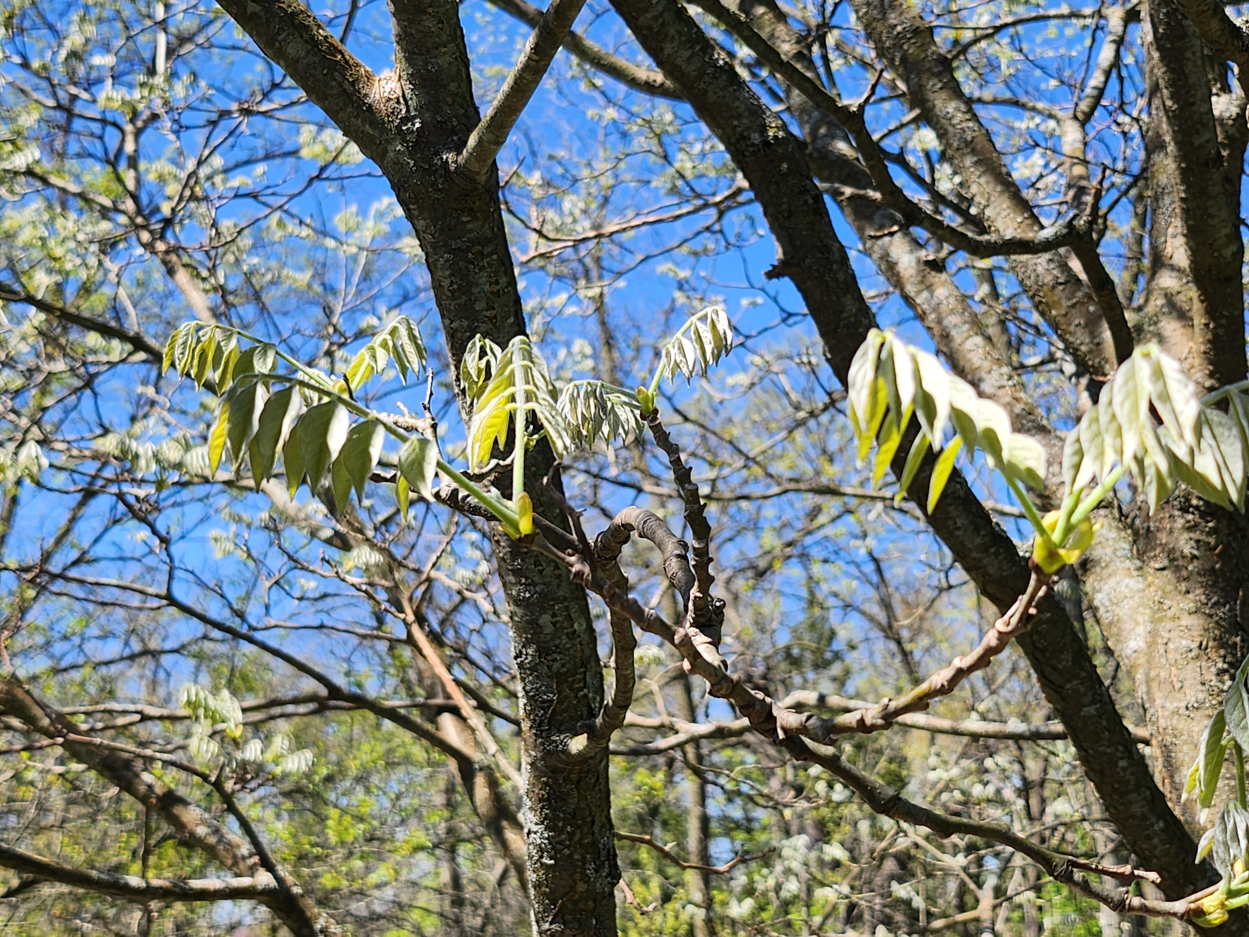 20260425_113241.jpg