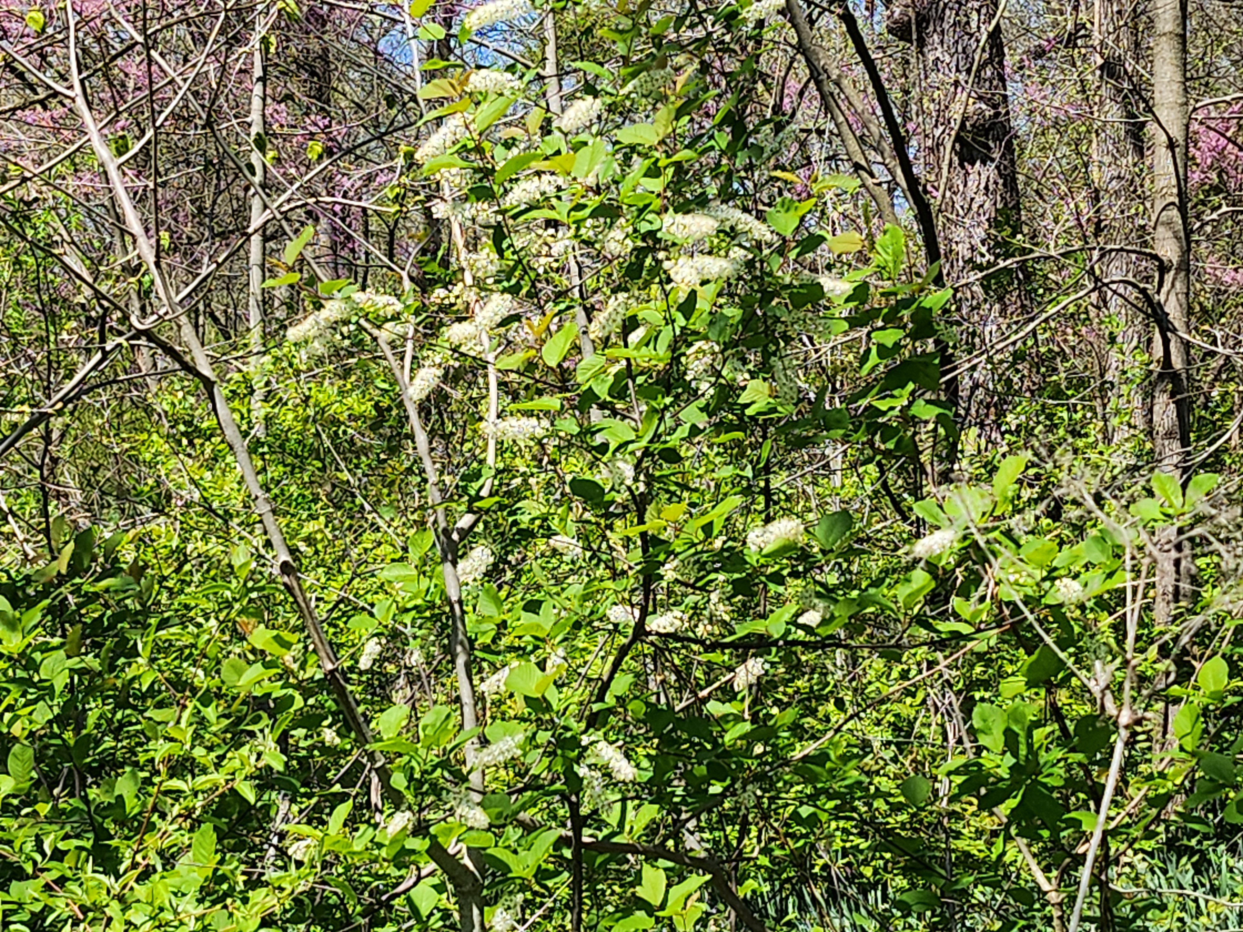 20260425_113833.jpg