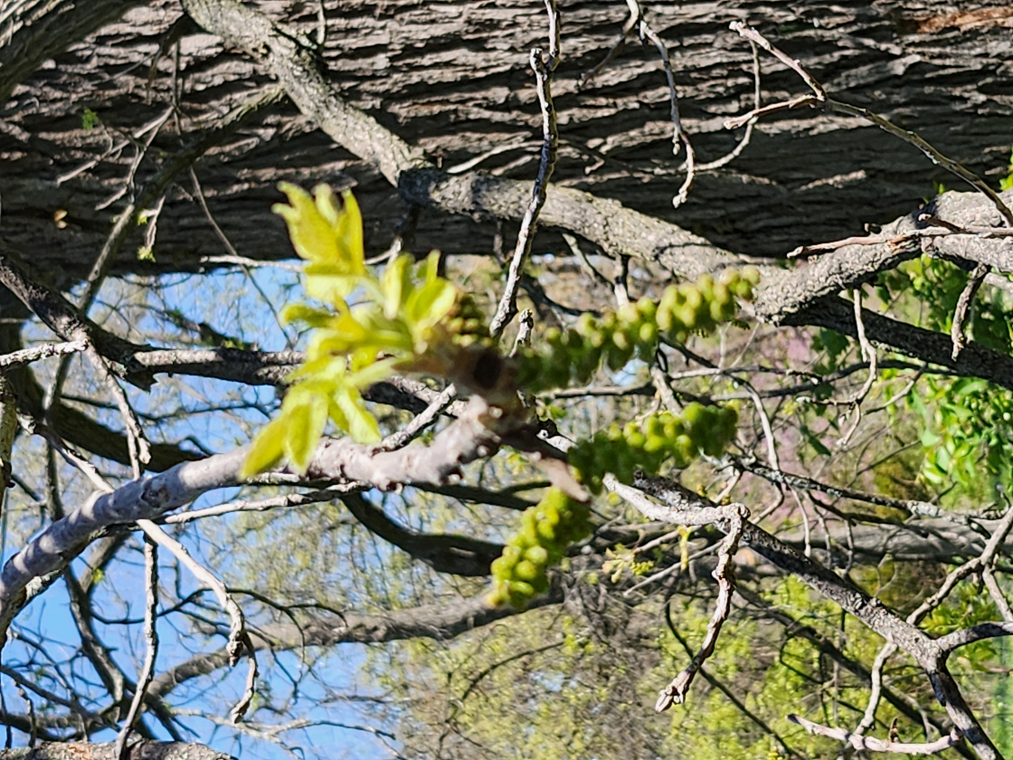 20260425_114716.jpg