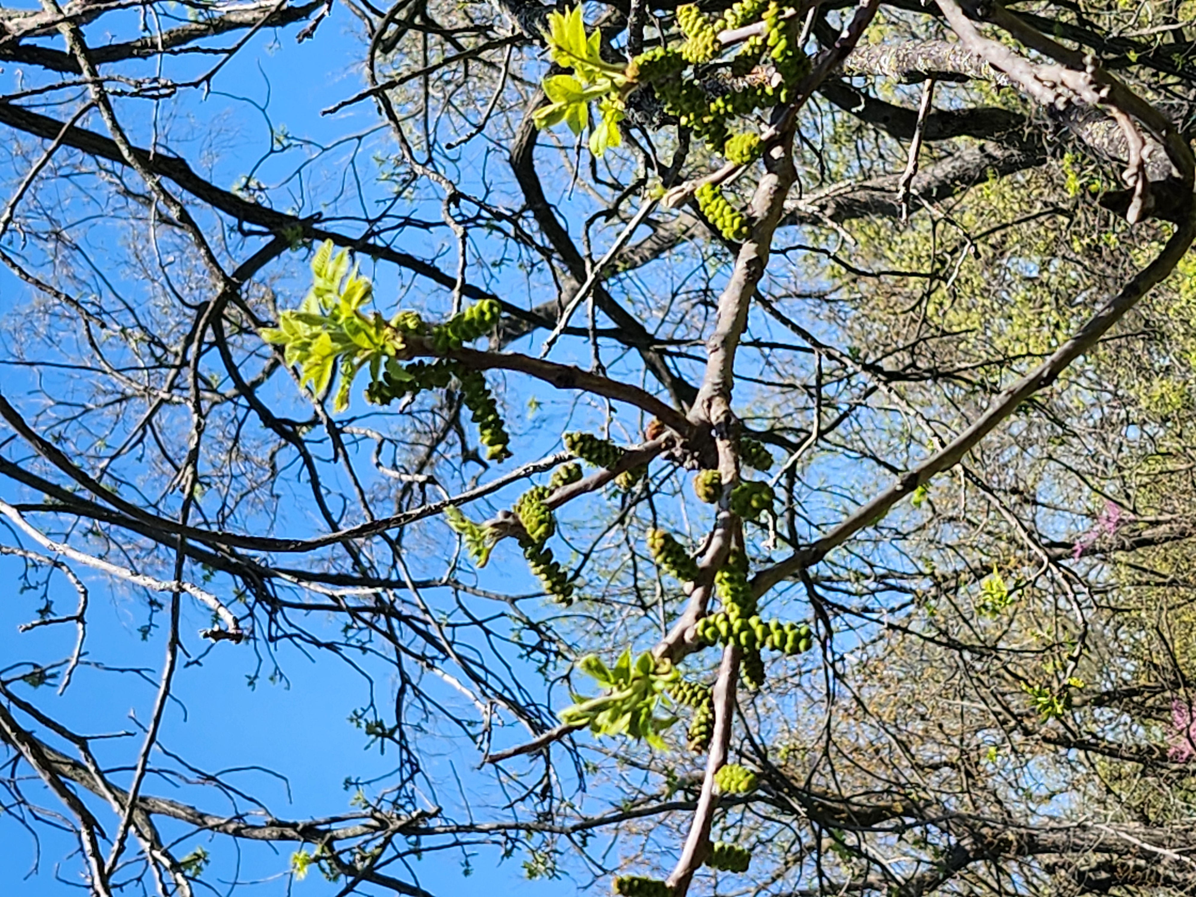 20260425_114723.jpg